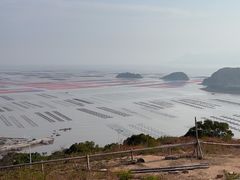 -花竹村