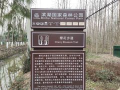 -合肥滨湖国家森林公园