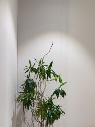 -CRAIE可瑞医美式医美·111SKIN
