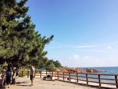 -青岛海滨风景区