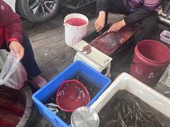 -铜元老码头鳝鱼火锅