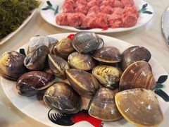 海螺-牛排王糟粕醋火锅(海甸分店)