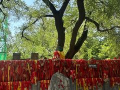 -大槐树寻根祭祖园