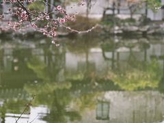 -艺圃