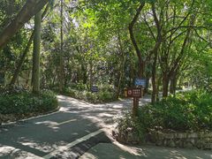 -广东茂名森林公园