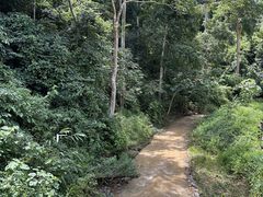 -西双版纳原始森林公园