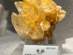 -贵州省地质博物馆