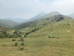 -大姆山草场
