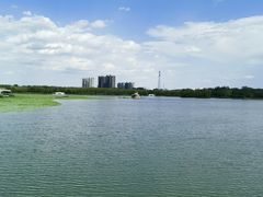 -大兴滨河森林公园