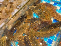 -映像威海·威海宴(威高广场店)