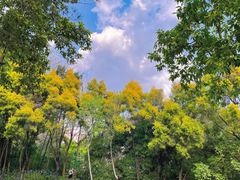 -深圳国际园林花卉博览园