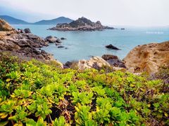 -青澳湾北回归线广场