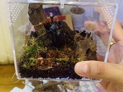 -Rabbit Cafe私房西餐甜点咖啡(栖霞路店)