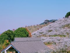 -原乡小镇度假乐园