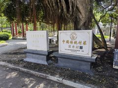 -长洲岛