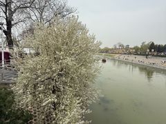 -赵州桥景区