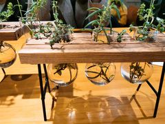 -ZING COFFEE 镜咖啡