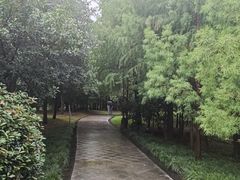 -同里国家湿地公园