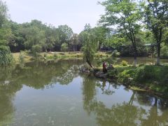 -月湖风景区