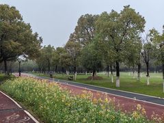 -艾溪湖湿地公园
