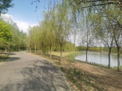 -东郊湿地公园