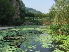 景点-幕燕滨江·长江观音景区