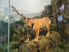 -陕西自然博物馆