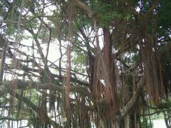 -胡里山炮台