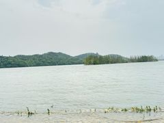 -东湖落雁景区