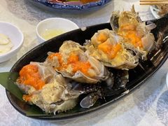 -渔娘渔家丹东海鲜(东直门店)