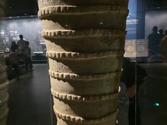 -盘龙城国家考古遗址公园