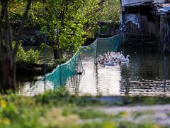 -美家乐农庄·露营·团建(大治路店)