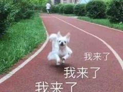 -木屋烧烤(西南角店)