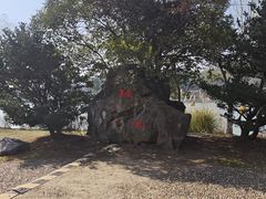 -宜兴龙背山森林公园
