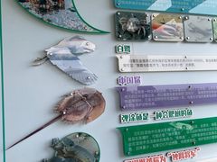 -北海金海湾红树林生态旅游区