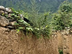 -萝卜寨羌文化生态旅游区