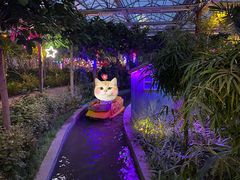 -南宫五洲植物乐园
