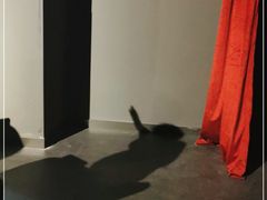 -上海明天广场JW万豪酒店