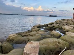 -八仔大富楼·河鲜(西江店)