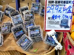 -百果园PAGODA(应元路店)