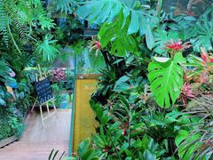 -森味薪火烧•烧鸟居酒屋•日本料理(望京店)