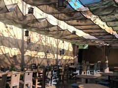 -Tangled Tree Tavern 老藤树食栈