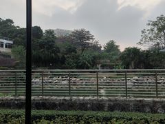 -石排湾郊野公园