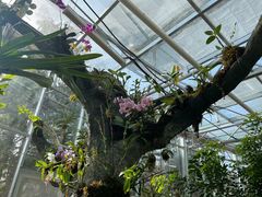 -国家植物园南园