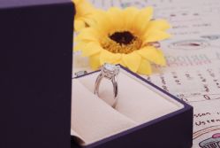 -威德钻石-克拉钻大本营(南京东路店)