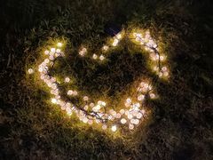 -海堤葡萄园中小学生研学基地