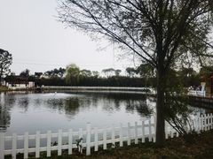 -鹅湖玫瑰文化园