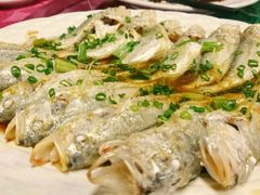 清蒸狮头鱼-蛇平饭店(明园路店)
