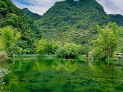 -靖西鹅泉风景区