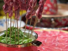 -羊大爷涮肉(亮马桥店)